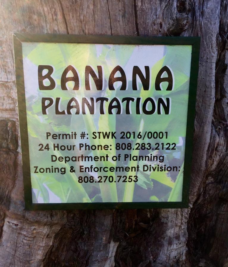 Banana Plantation Hotel Paia Exterior foto